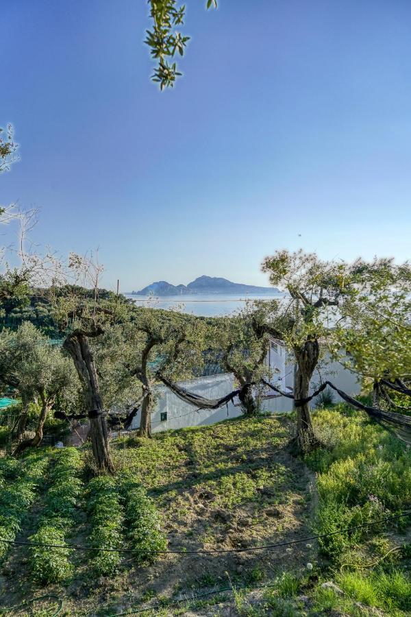 Villa Lorelei Massa Lubrense Exterior foto